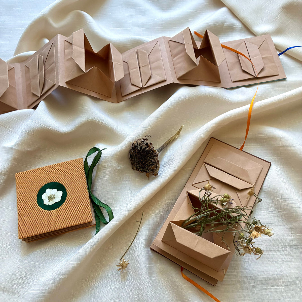 Seedling