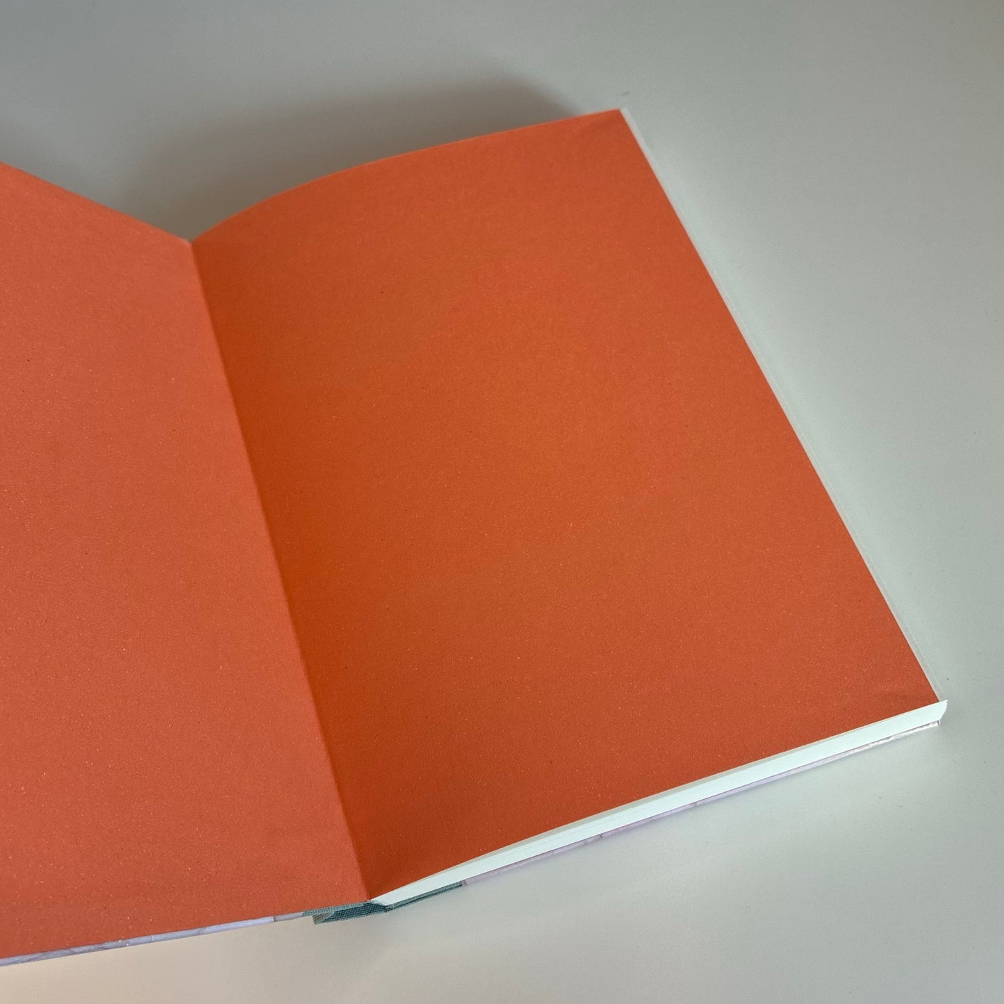 Journal Wild rose