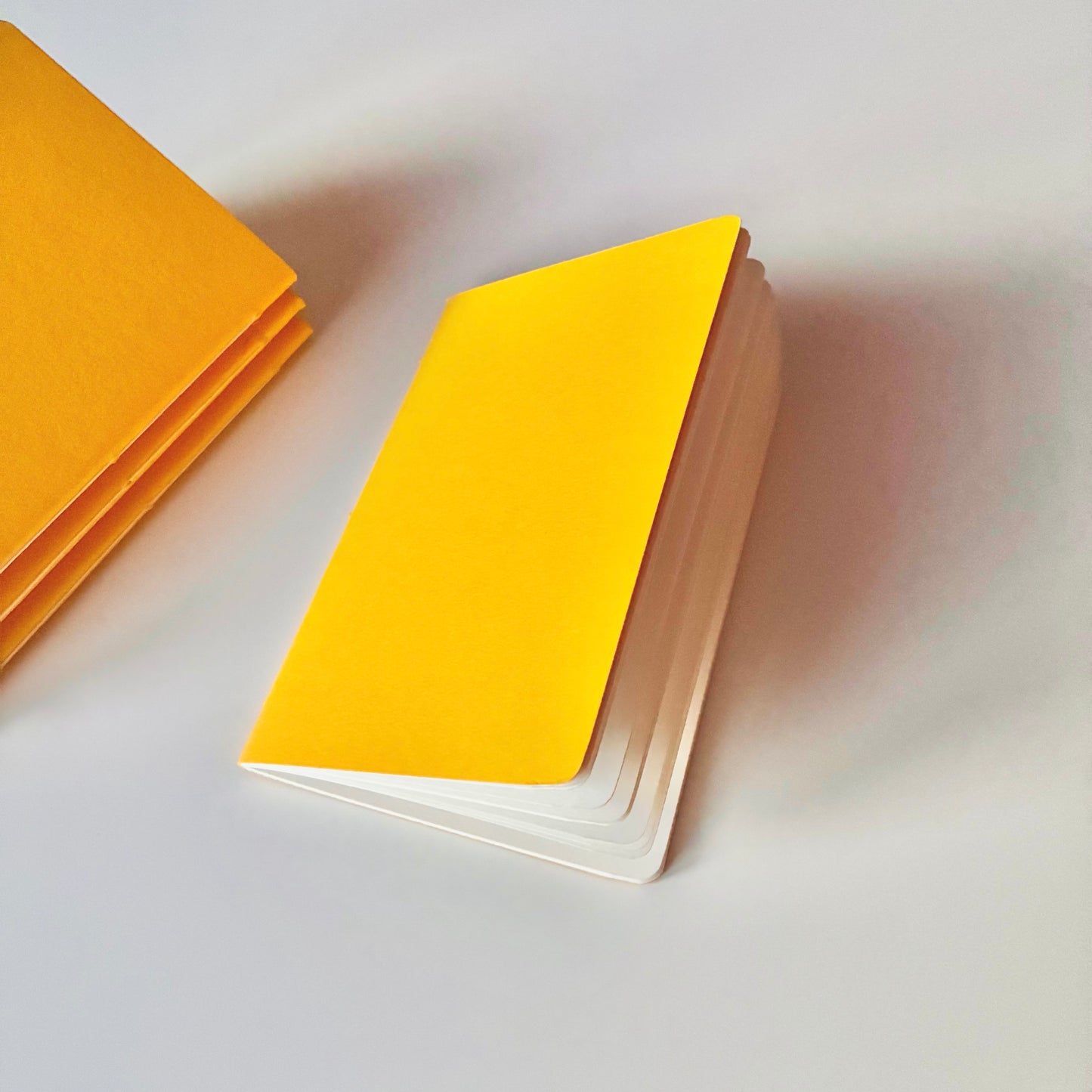 Pocket notebook